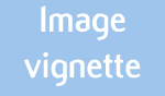 image vignette
